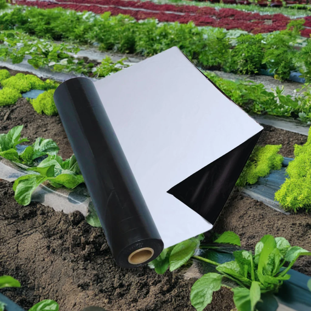 White Black Mulching